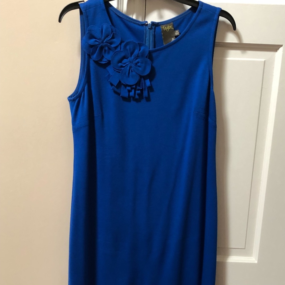 Beautiful blue colour dress